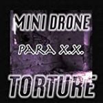 Mini Drone: Torture